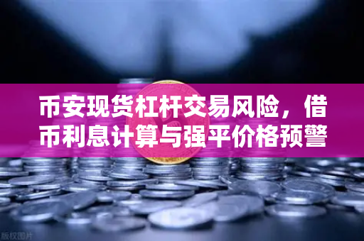 币安现货杠杆交易风险，借币利息计算与强平价格预警机制