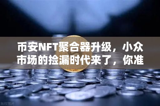 币安NFT聚合器升级，小众市场的捡漏时代来了，你准备好了吗？