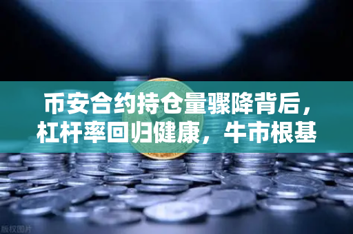 币安合约持仓量骤降背后，杠杆率回归健康，牛市根基更稳了？