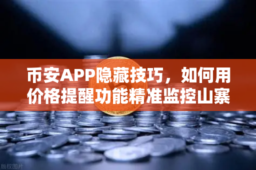 币安APP隐藏技巧，如何用价格提醒功能精准监控山寨币？一劳永逸的抄底逃顶秘籍