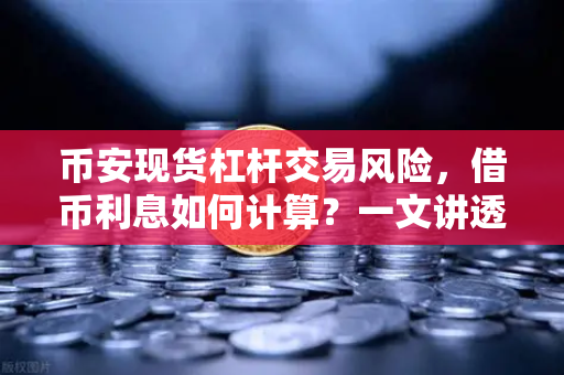 币安现货杠杆交易风险,借币利息如何计算?一文讲透-第1张图片-币安Binance 币安现货杠杆交易风险,借币利息如何计算?一文讲透-第1张图片-币安Binance