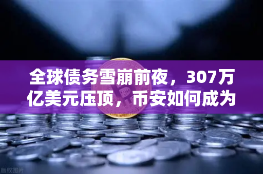全球债务雪崩前夜，307万亿美元压顶，币安如何成为你的数字诺亚方舟？