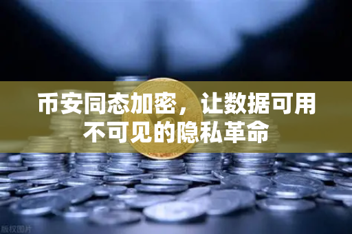 币安同态加密，让数据可用不可见的隐私革命