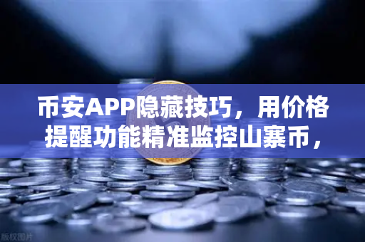 币安APP隐藏技巧，用价格提醒功能精准监控山寨币，再也不会错过暴涨