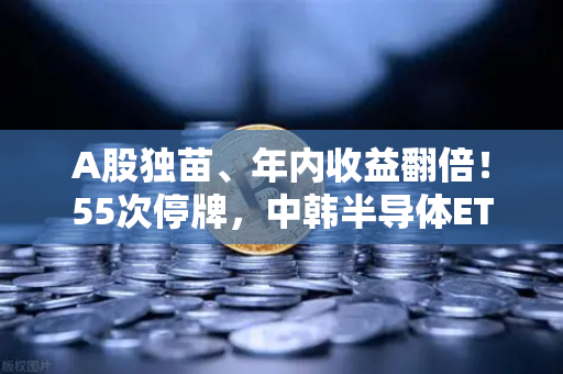 A股独苗、年内收益翻倍！55次停牌，中韩半导体ETF是机会还是坑？币安用户必读