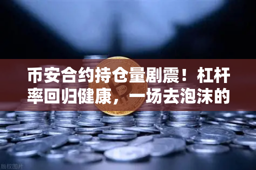 币安合约持仓量剧震！杠杆率回归健康，一场去泡沫的必然洗牌