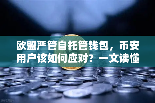欧盟严管自托管钱包，币安用户该如何应对？一文读懂新规影响
