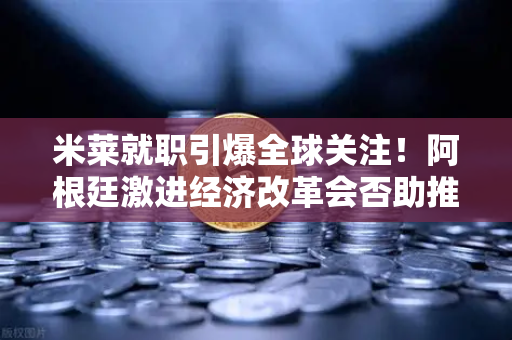 米莱就职引爆全球关注！阿根廷激进经济改革会否助推币安等加密平台迎来新机遇？