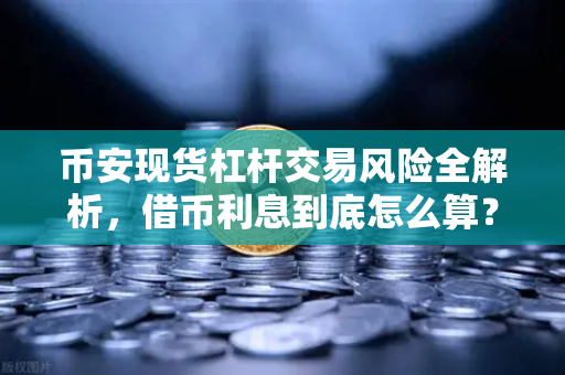 币安现货杠杆交易风险全解析，借币利息到底怎么算？