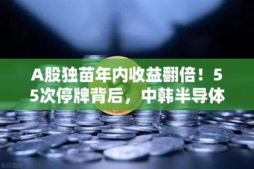 A股独苗年内收益翻倍！55次停牌背后，中韩半导体ETF是机会还是坑？