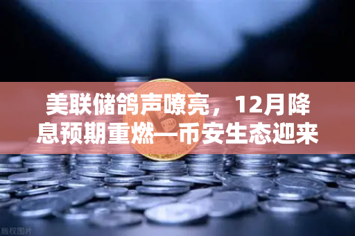美联储鸽声嘹亮，12月降息预期重燃—币安生态迎来新契机？