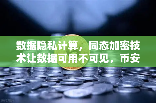 数据隐私计算，同态加密技术让数据可用不可见，币安如何领跑新赛道？