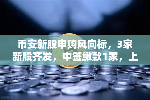 币安新股申购风向标，3家新股齐发，中签缴款1家，上市1家如何布局？