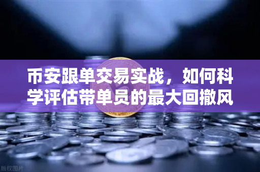 币安跟单交易实战，如何科学评估带单员的最大回撤风险？