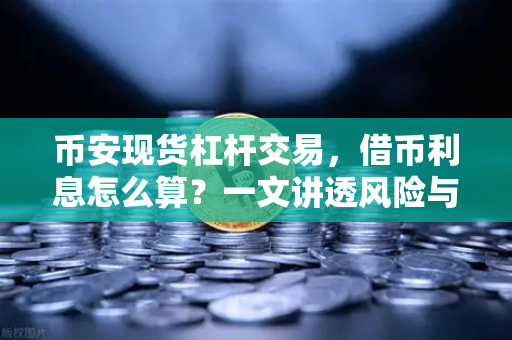 币安现货杠杆交易，借币利息怎么算？一文讲透风险与成本