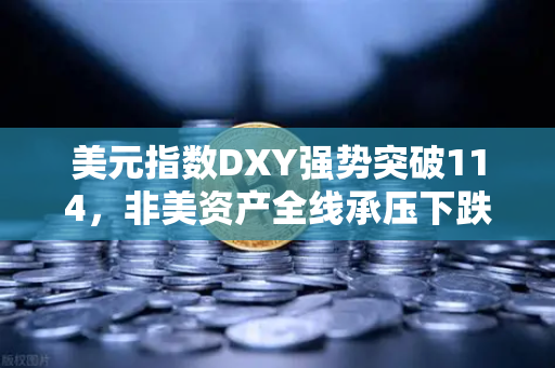 美元指数DXY强势突破114，非美资产全线承压下跌，币安Binance用户如何避险？