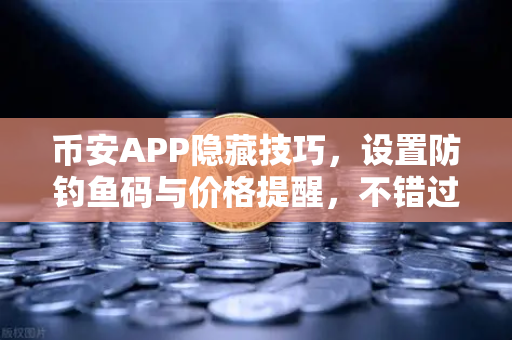 币安APP隐藏技巧，设置防钓鱼码与价格提醒，不错过任何行情-第1张图片-币安Binance