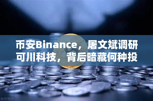 币安Binance，屠文斌调研可川科技，背后暗藏何种投资逻辑？-第1张图片-币安Binance