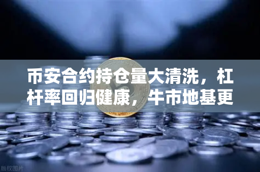 币安合约持仓量大清洗，杠杆率回归健康，牛市地基更稳固