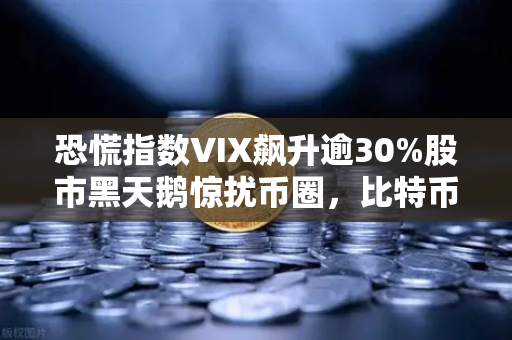 恐慌指数VIX飙升逾30%股市黑天鹅惊扰币圈，比特币还能扛得住吗？