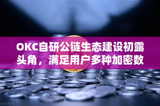 OKC自研公链生态建设初露头角，满足用户多种加密数字资产业务需求