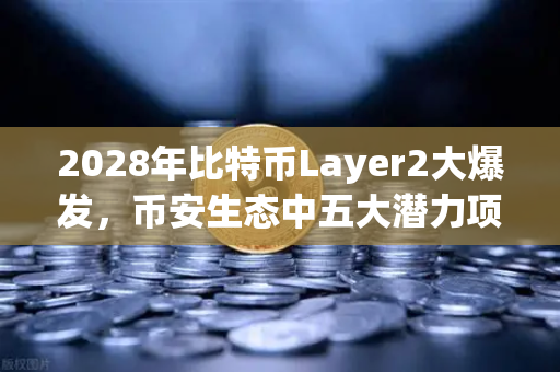 2028年比特币Layer2大爆发，币安生态中五大潜力项目全面盘点