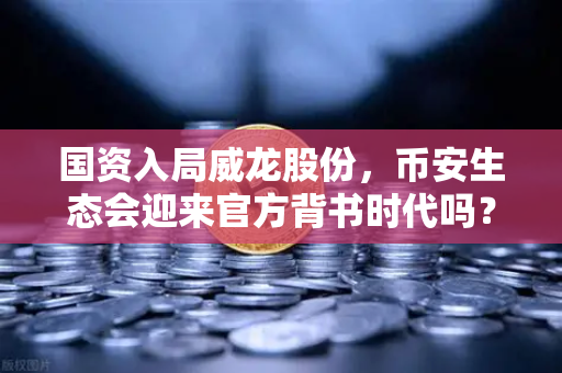 国资入局威龙股份，币安生态会迎来官方背书时代吗？