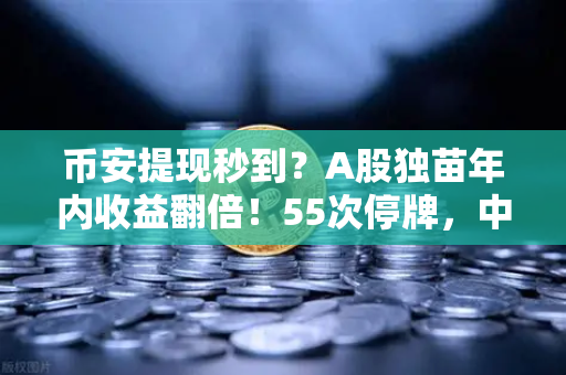 币安提现秒到？A股独苗年内收益翻倍！55次停牌，中韩半导体ETF是机会还是坑？