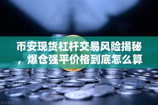 币安现货杠杆交易风险揭秘，爆仓强平价格到底怎么算？一文讲透！