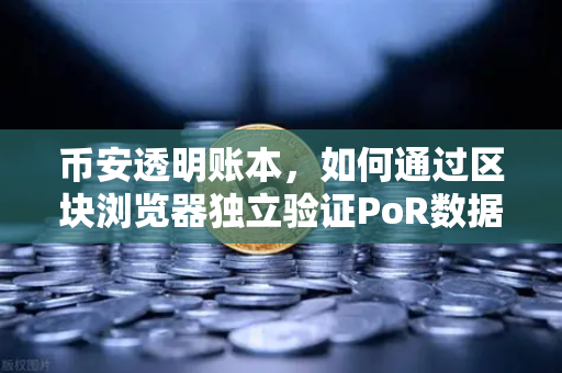 币安透明账本，如何通过区块浏览器独立验证PoR数据？
