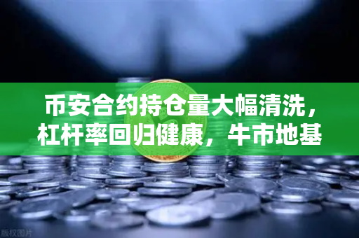 币安合约持仓量大幅清洗，杠杆率回归健康，牛市地基更稳固？