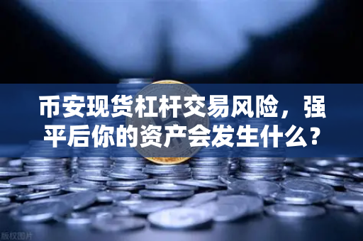 币安现货杠杆交易风险，强平后你的资产会发生什么？深度解析与避险指南