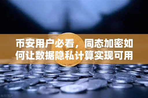 币安用户必看,同态加密如何让数据隐私计算实现可用不可见-第1张图片-币安Binance 币安用户必看,同态加密如何让数据隐私计算实现可用不可见-第1张图片-币安Binance
