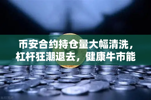 币安合约持仓量大幅清洗,杠杆狂潮退去,健康牛市能否重启?-第1张图片-币安Binance 币安合约持仓量大幅清洗,杠杆狂潮退去,健康牛市能否重启?-第1张图片-币安Binance