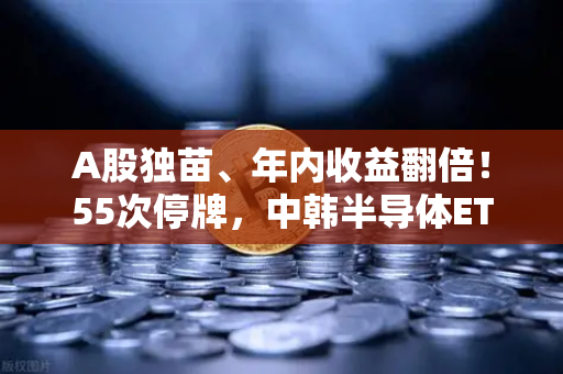 A股独苗、年内收益翻倍！55次停牌，中韩半导体ETF是机会还是坑？深度解剖币安视角下的投资迷局