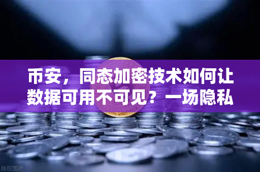 币安，同态加密技术如何让数据可用不可见？一场隐私计算的革命