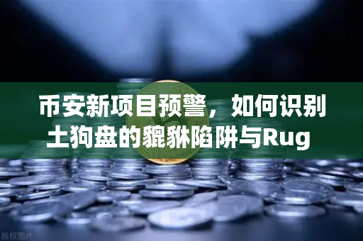 币安新项目预警，如何识别土狗盘的貔貅陷阱与Rug Pull？从零到一的防坑指南
