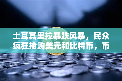 土耳其里拉暴跌风暴，民众疯狂抢购美元和比特币，币安平台交易量激增