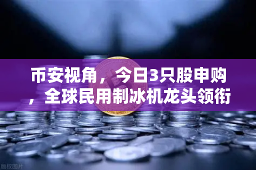 币安视角，今日3只股申购，全球民用制冰机龙头领衔，新股炒作逻辑大揭秘