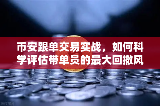 币安跟单交易实战，如何科学评估带单员的最大回撤风险？
