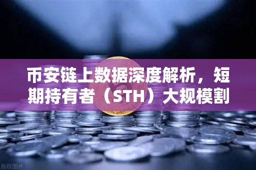 币安链上数据深度解析，短期持有者（STH）大规模割肉离场，市场底在哪？