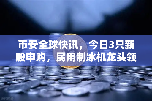 币安全球快讯，今日3只新股申购，民用制冰机龙头领衔市场热点-第1张图片-币安Binance