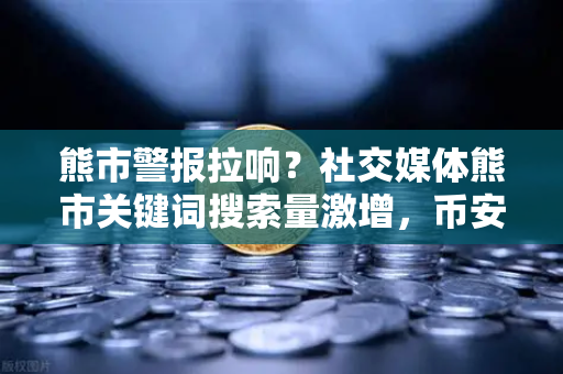 熊市警报拉响？社交媒体熊市关键词搜索量激增，币安用户该如何应对？