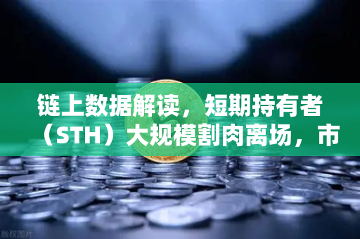 链上数据解读，短期持有者（STH）大规模割肉离场，市场见底信号已经出现？