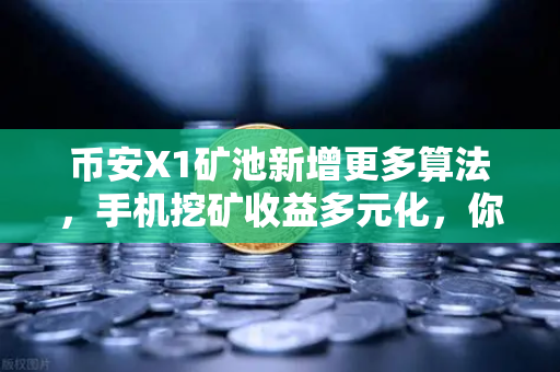 币安X1矿池新增更多算法，手机挖矿收益多元化，你的躺赚时代来了