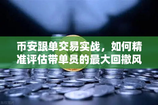 币安跟单交易实战，如何精准评估带单员的最大回撤风险？