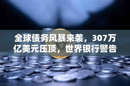 全球债务风暴来袭，307万亿美元压顶，世界银行警告下的币安生存法则