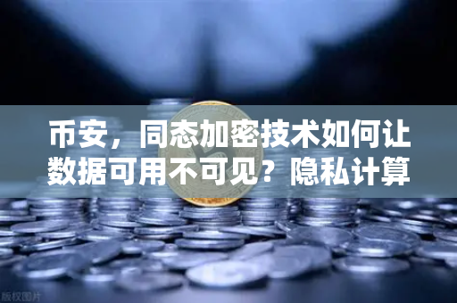 币安，同态加密技术如何让数据可用不可见？隐私计算的未来已来