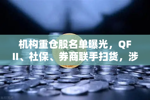 机构重仓股名单曝光，QFII、社保、券商联手扫货，涉币概念股成新宠