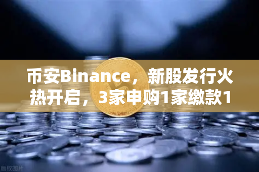 币安Binance，新股发行火热开启，3家申购1家缴款1家上市，投资机会深度解析